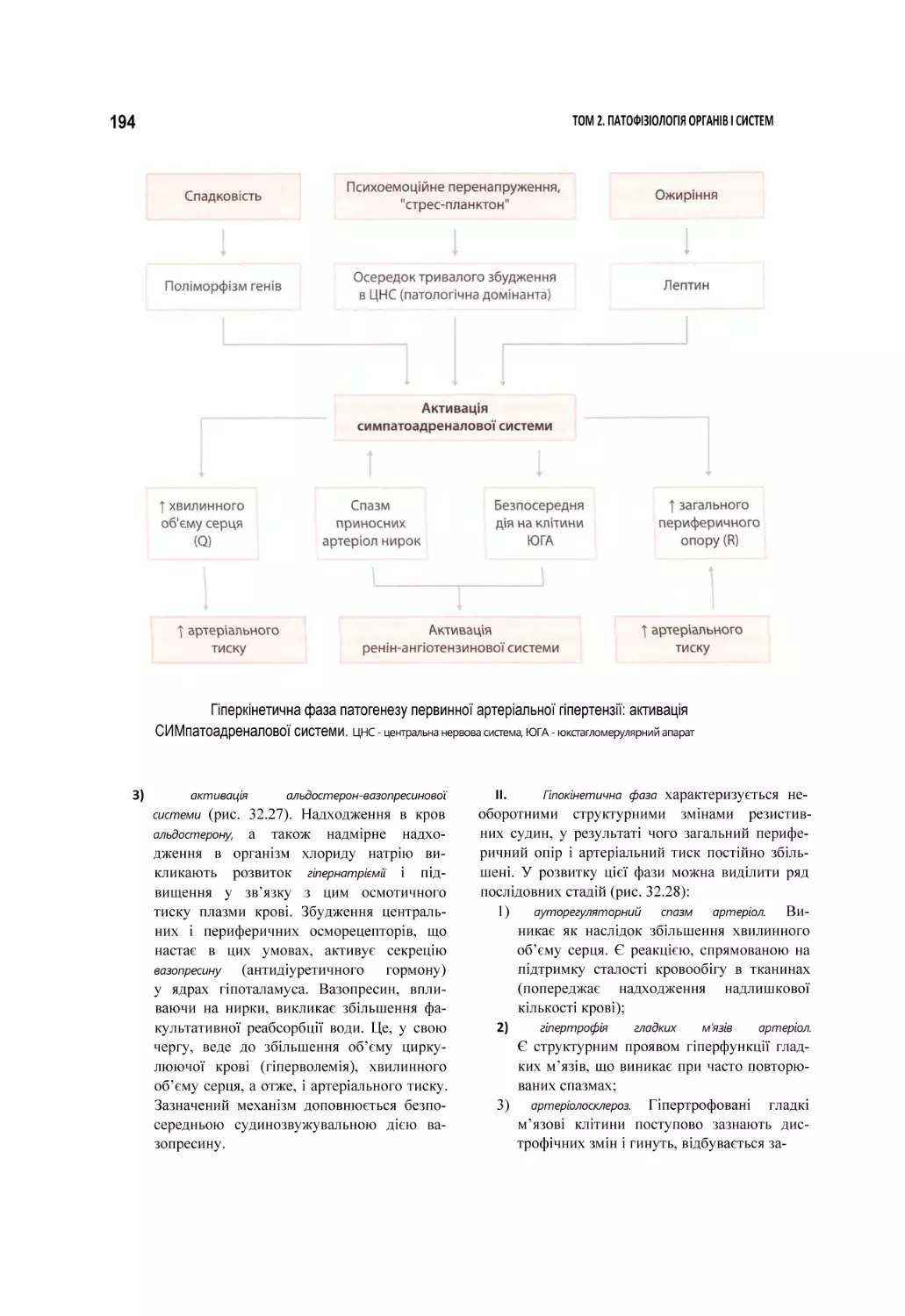 Гіперкінетична фаза патогенезу первинної артеріальної гіпертензії