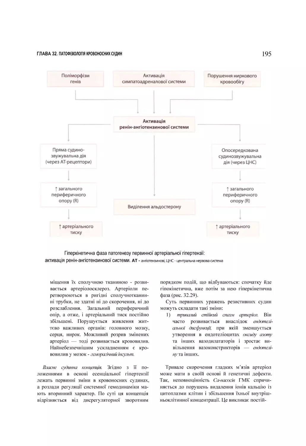 Гіперкінетична фаза патогенезу первинної артеріальної гіпертензії