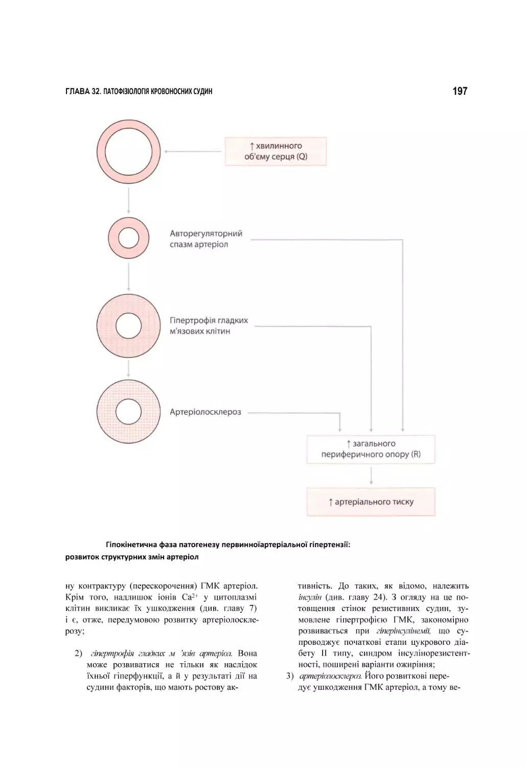 Гіпокінетична фаза патогенезу первинноїартеріальної гіпертензії