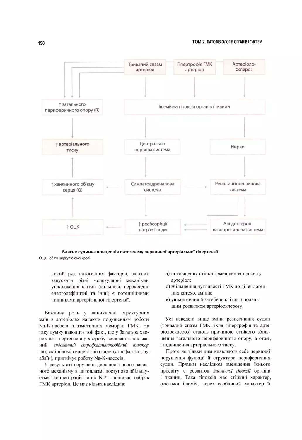 Власне судинна концепція патогенезу первинної артеріальної гіпертензії.