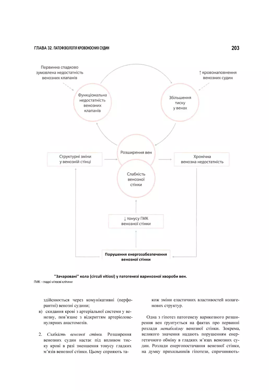 "Зачаровані" кола (circuli vitiosi) у патогенезі варикозної хвороби вен.