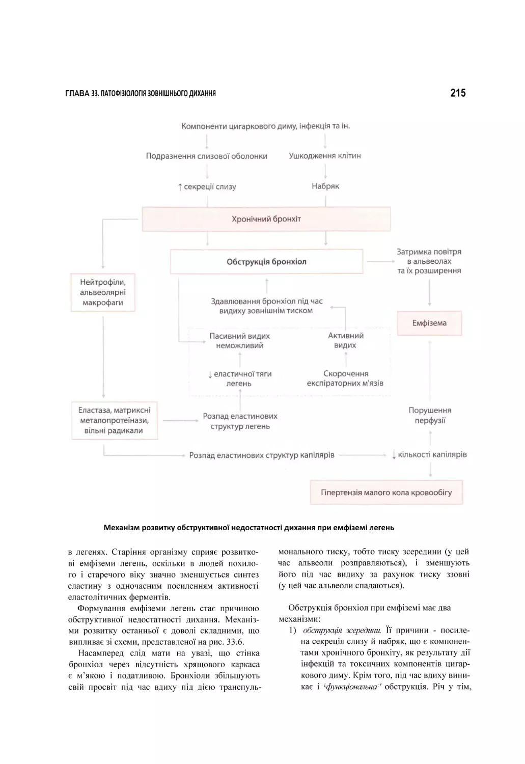 Механізм розвитку обструктивної недостатності дихання при емфіземі легень