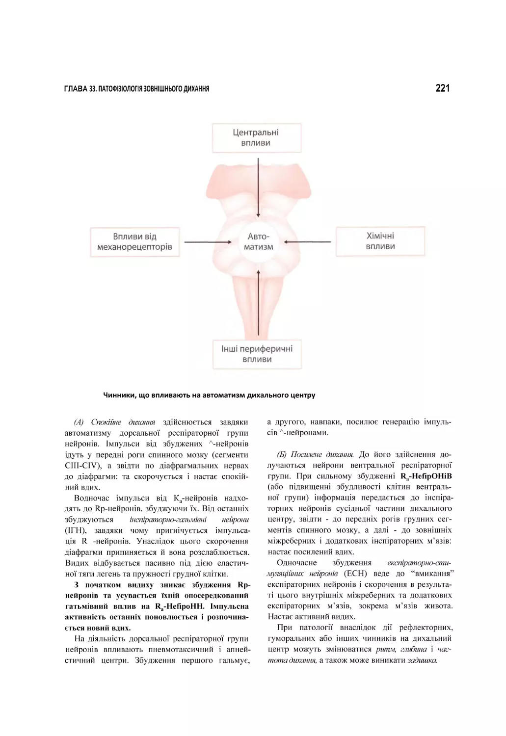 Чинники, що впливають на автоматизм дихального центру