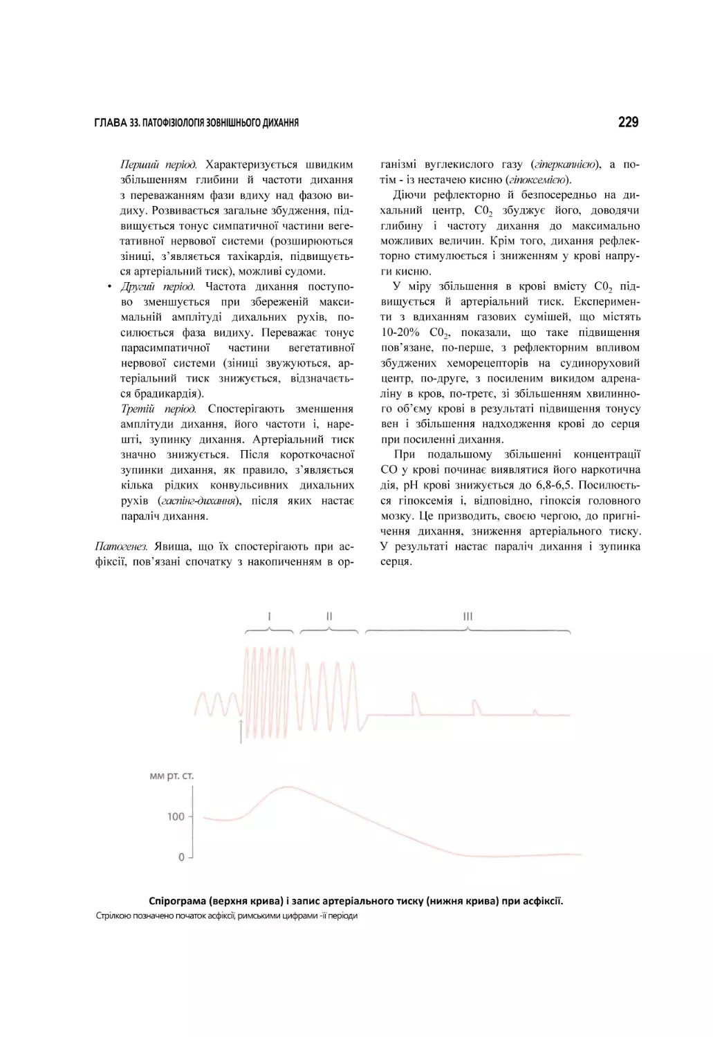 Спірограма (верхня крива) і запис артеріального тиску (нижня крива) при асфіксії.