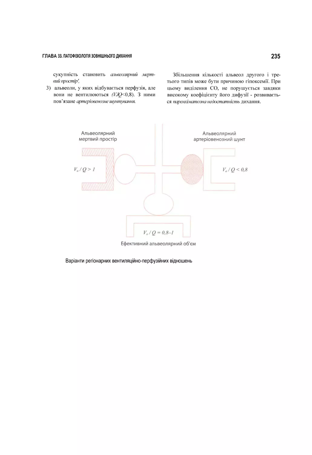 Варіанти регіонарних вентиляційно-перфузійних відношень