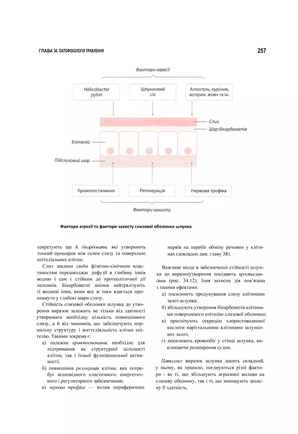 Фактори агресії та фактори захисту слизової оболонки шлунка