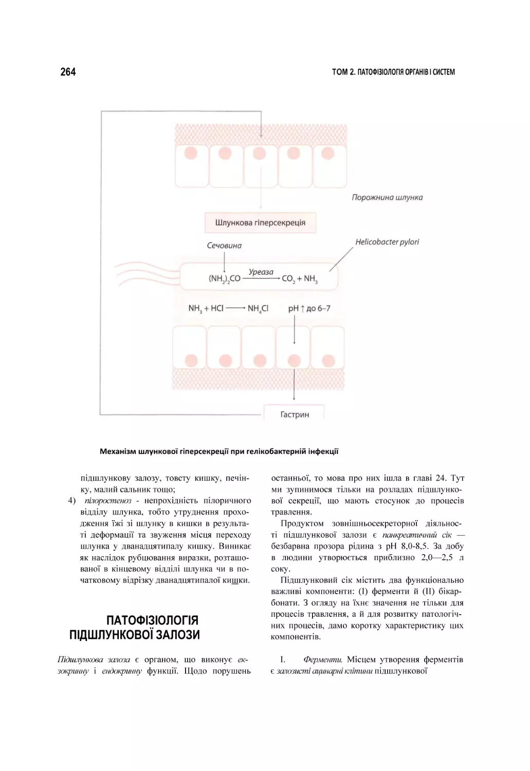 Механізм шлункової гіперсекреції при гелікобактерній інфекції
ПАТОФІЗІОЛОГІЯ ПІДШЛУНКОВОЇ ЗАЛОЗИ