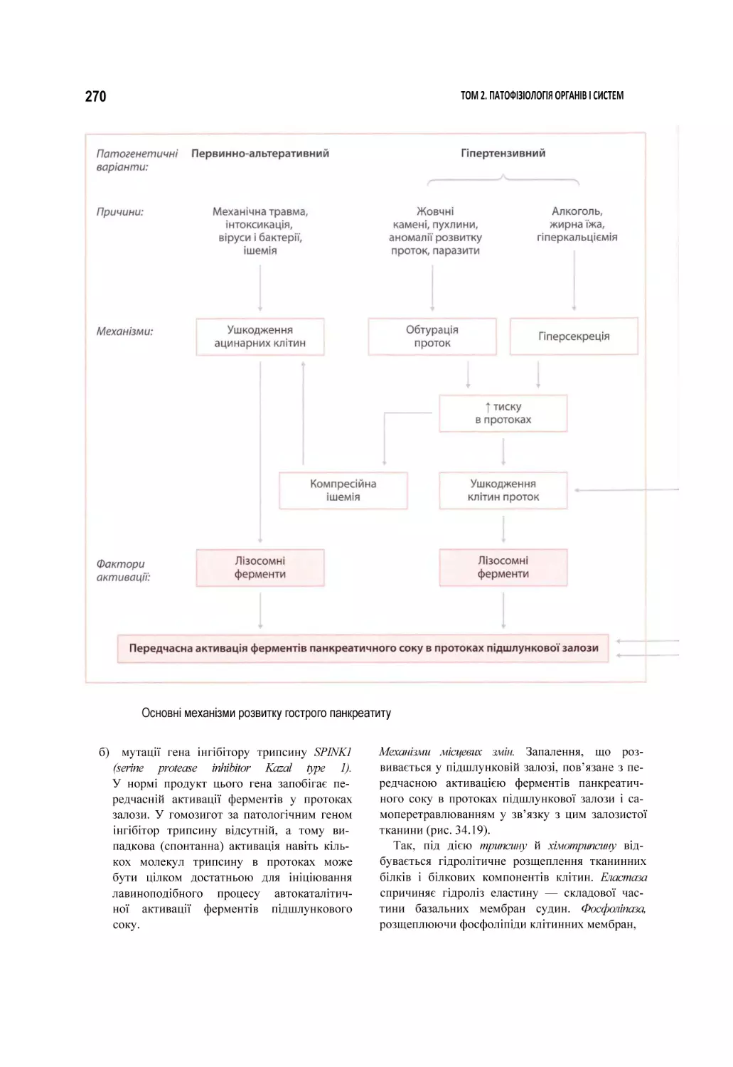 Основні механізми розвитку гострого панкреатиту