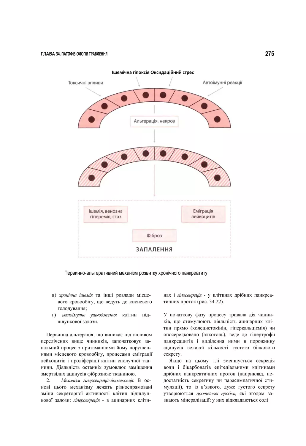 Первинно-альтеративний механізм розвитку хронічного панкреатиту