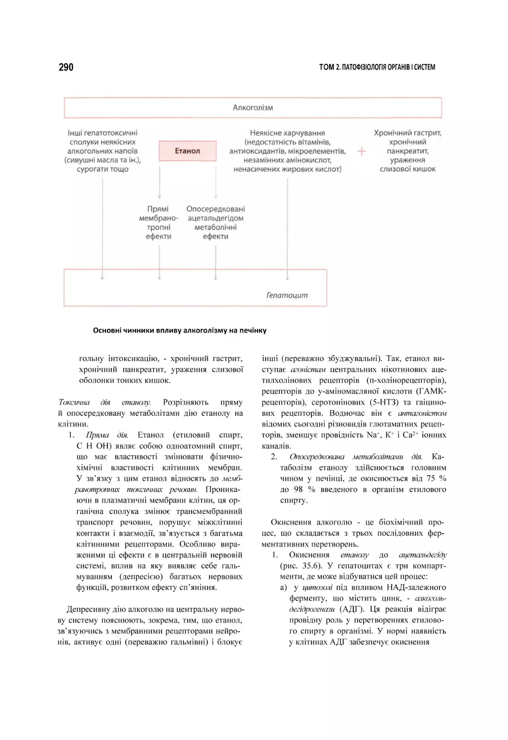 Основні чинники впливу алкоголізму на печінку