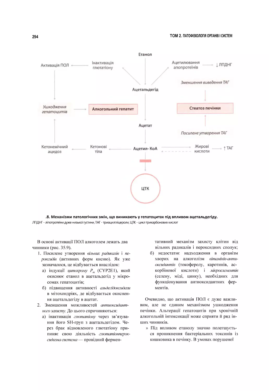 .8. Механізми патологічних змін, що виникають у гепатоцитах під впливом ацетальдегіду.