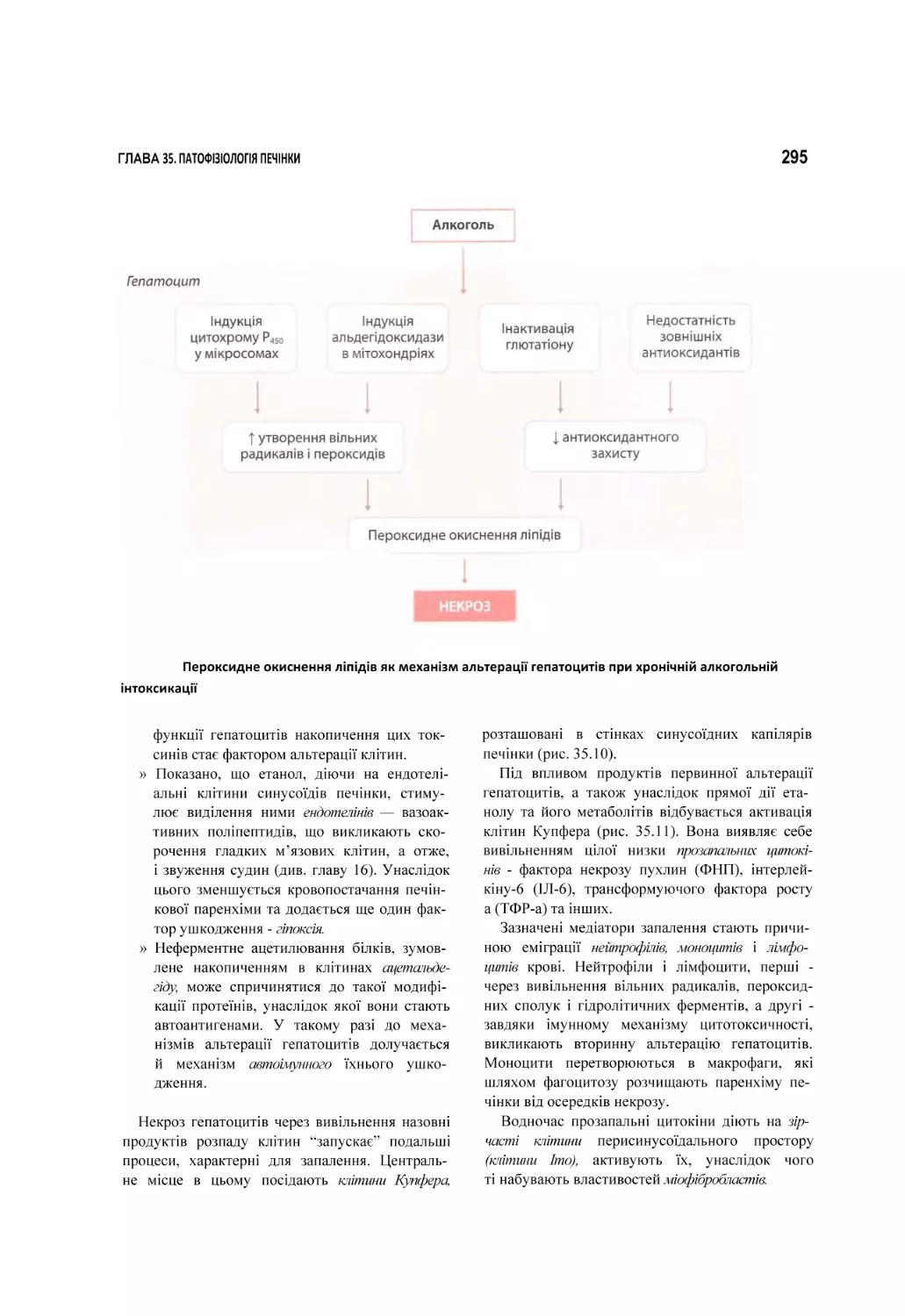 Пероксидне окиснення ліпідів як механізм альтерації гепатоцитів при хронічній алкогольній інтоксикації