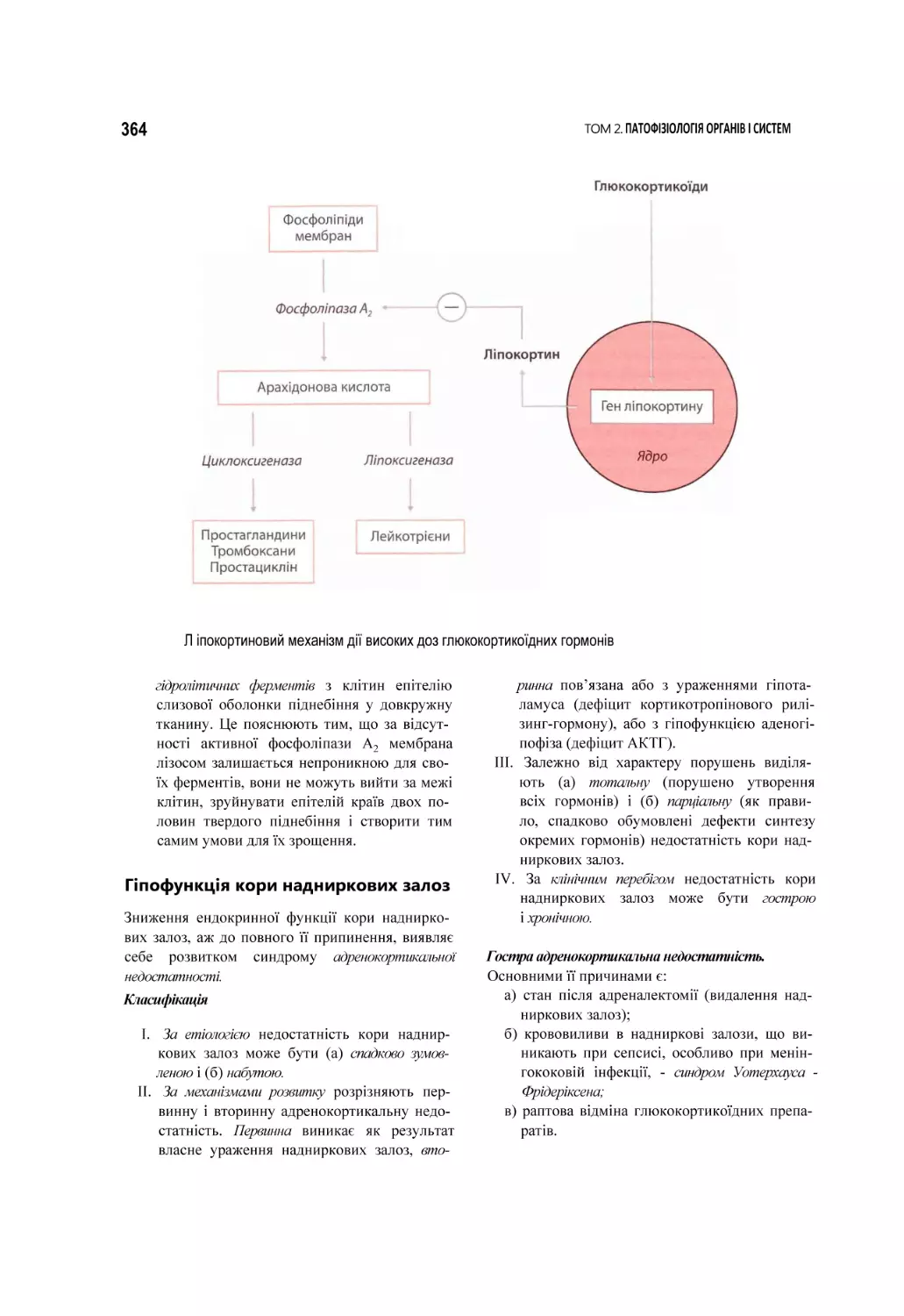 Л іпокортиновий механізм дії високих доз глюкокортикоїдних гормонів
Гіпофункція кори надниркових залоз