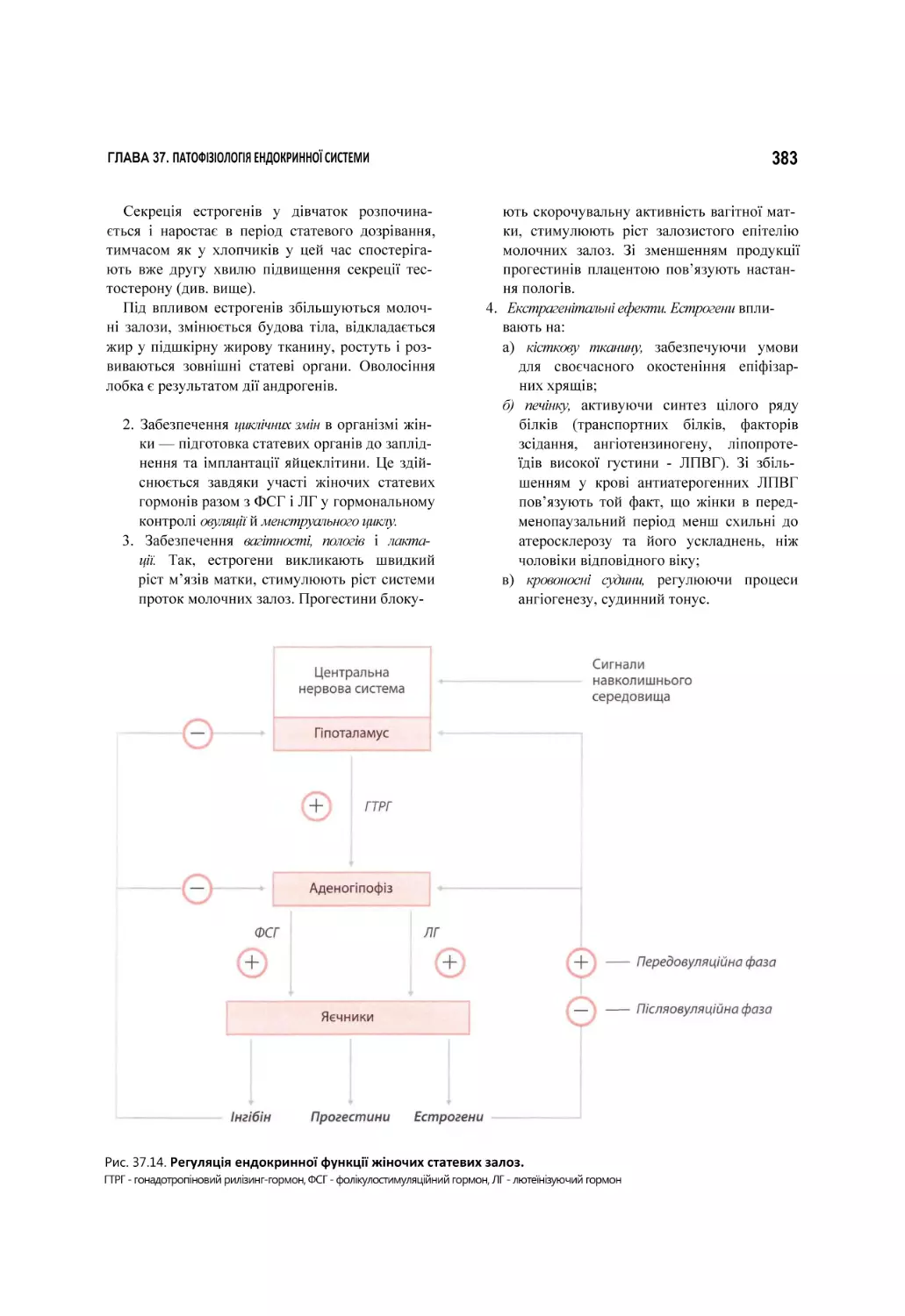 Рис. 37.14. Регуляція ендокринної функції жіночих статевих залоз.