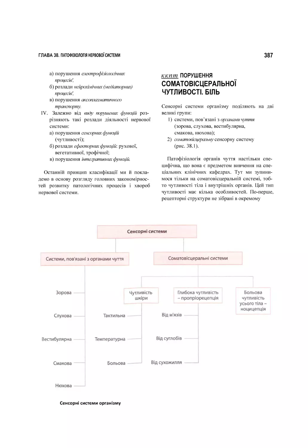 СОМАТОВІСЦЕРАЛЬНОЇ ЧУТЛИВОСТІ. БІЛЬ
Сенсорні системи організму