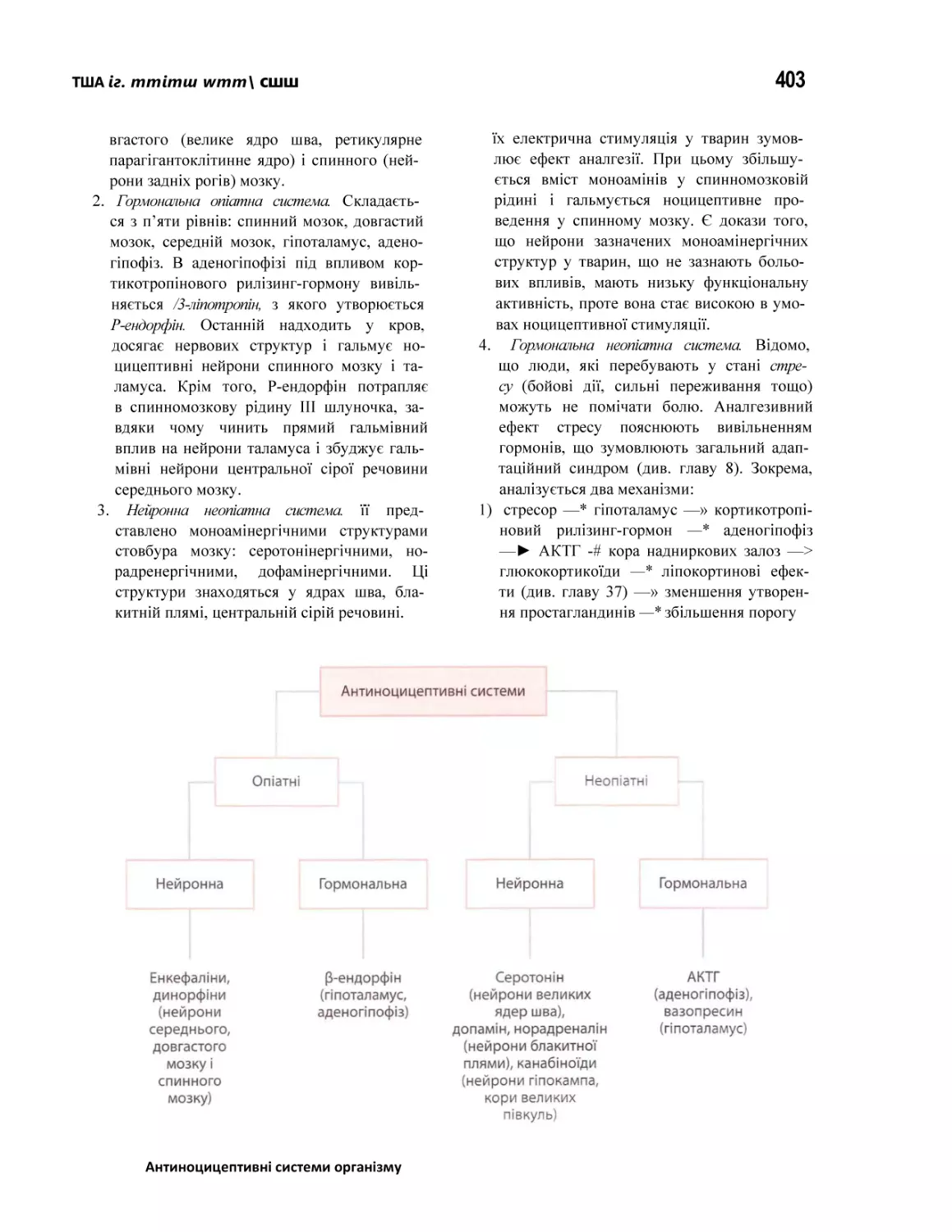 Антиноцицептивні системи організму