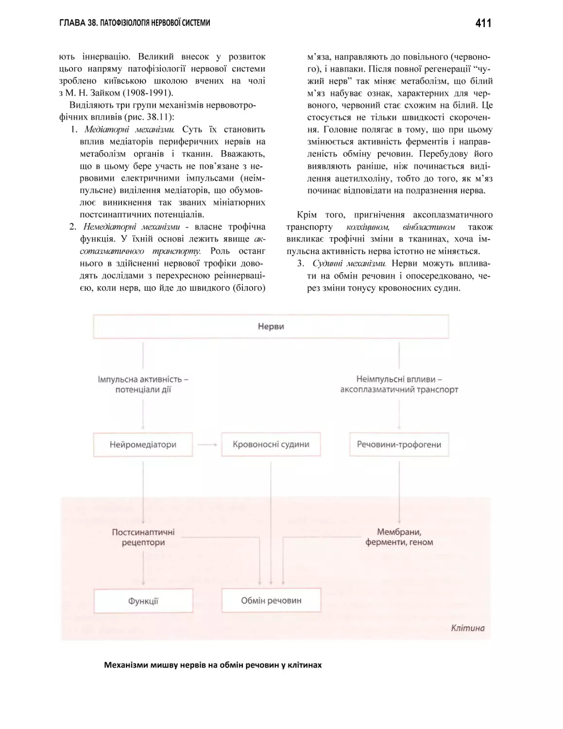 Механізми мишву нервів на обмін речовин у клітинах