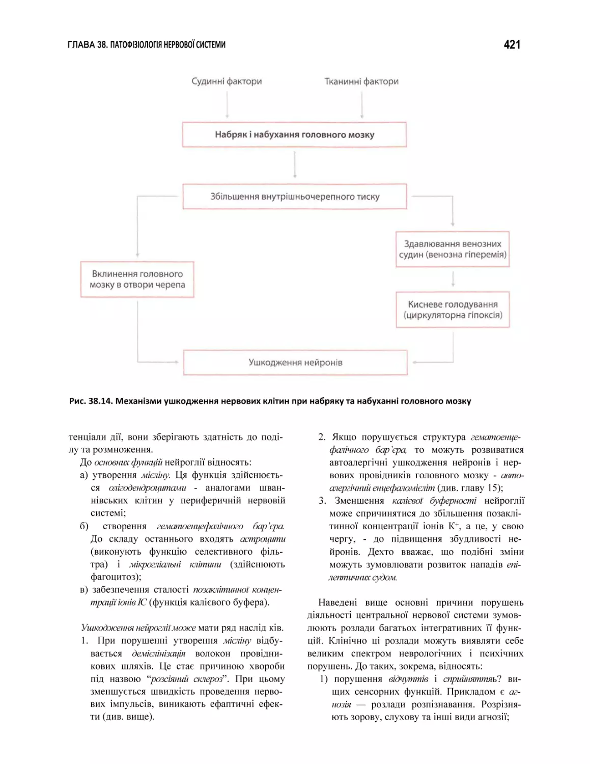 Рис. 38.14. Механізми ушкодження нервових клітин при набряку та набуханні головного мозку