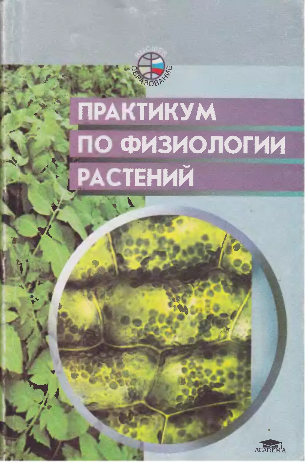 Биохимические растения. Книга по физиологии растений. Физиология и биохимия растений. Практикум по физиологии. Практикума «физиология растений».