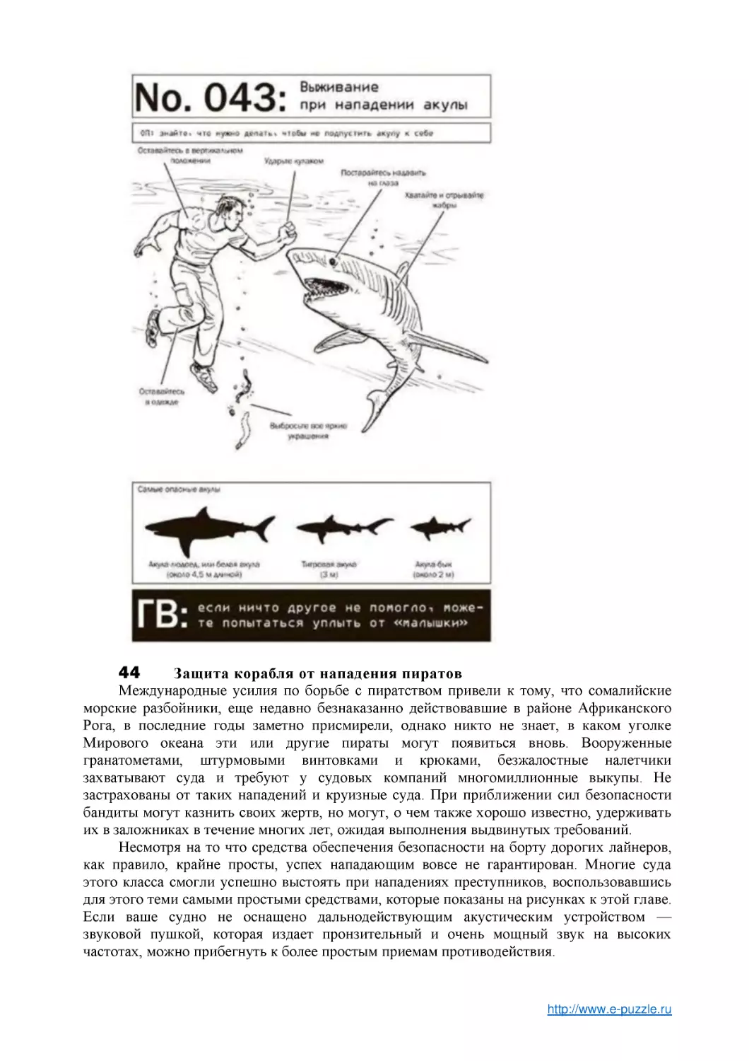 44 Защита корабля от нападения пиратов