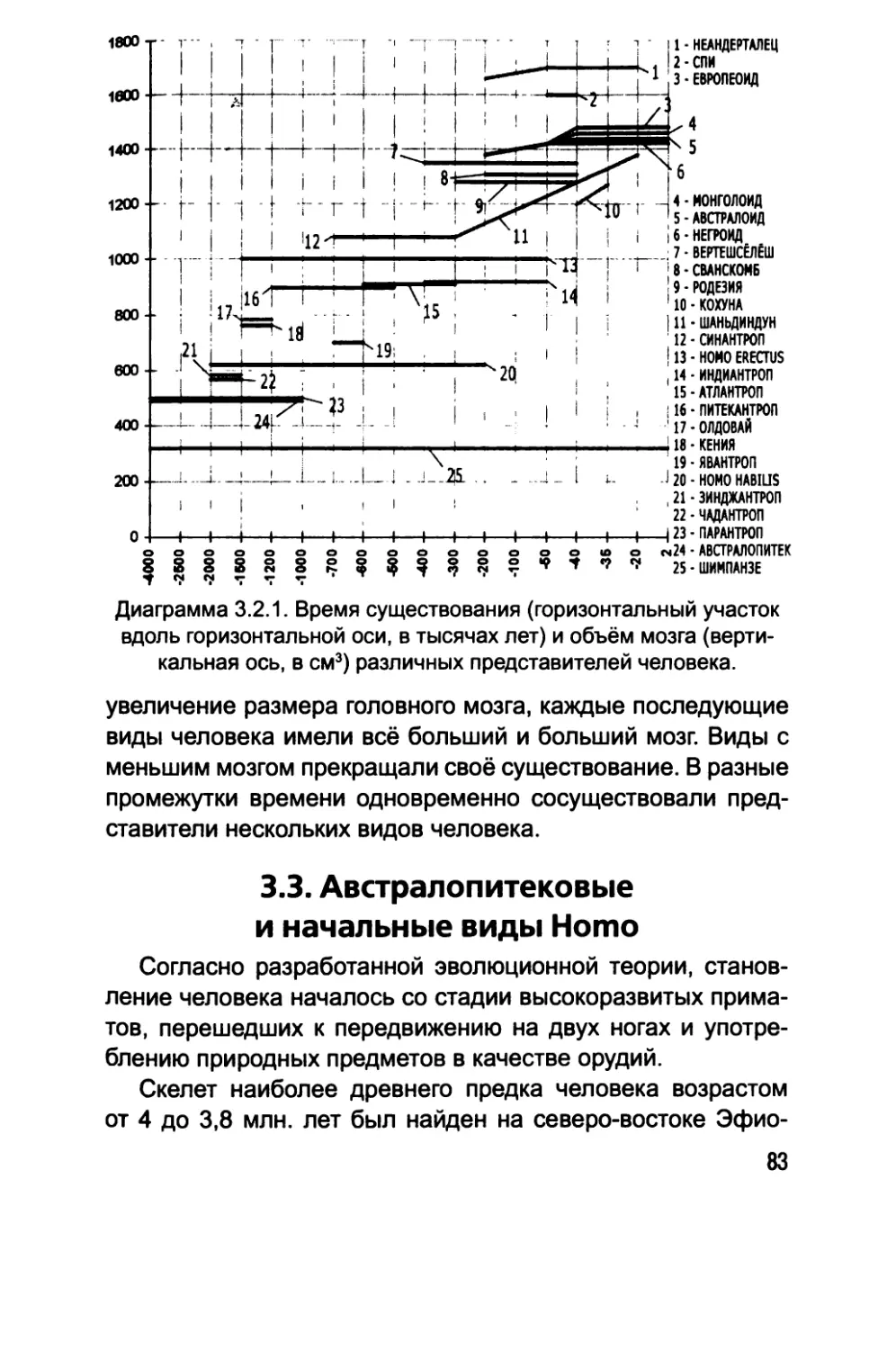 3.3. Австралопитековые и начальные виды Homo