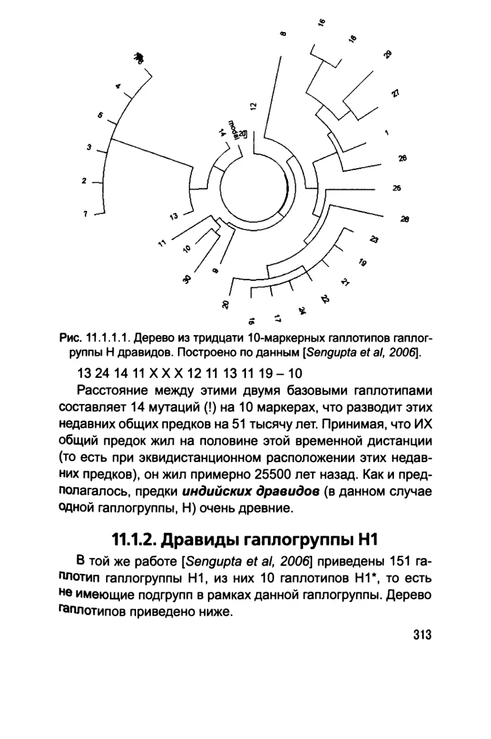 11.1.2. Дравиды гаплогруппы Н1