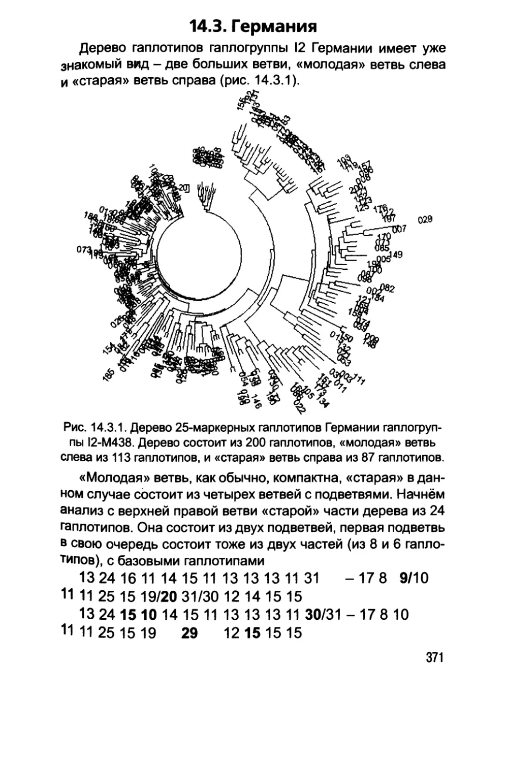 14.3. Германия