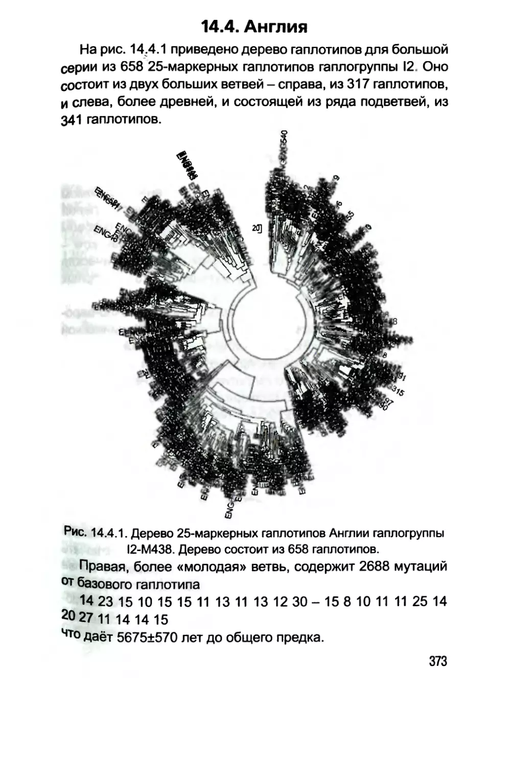 14.4. Англия