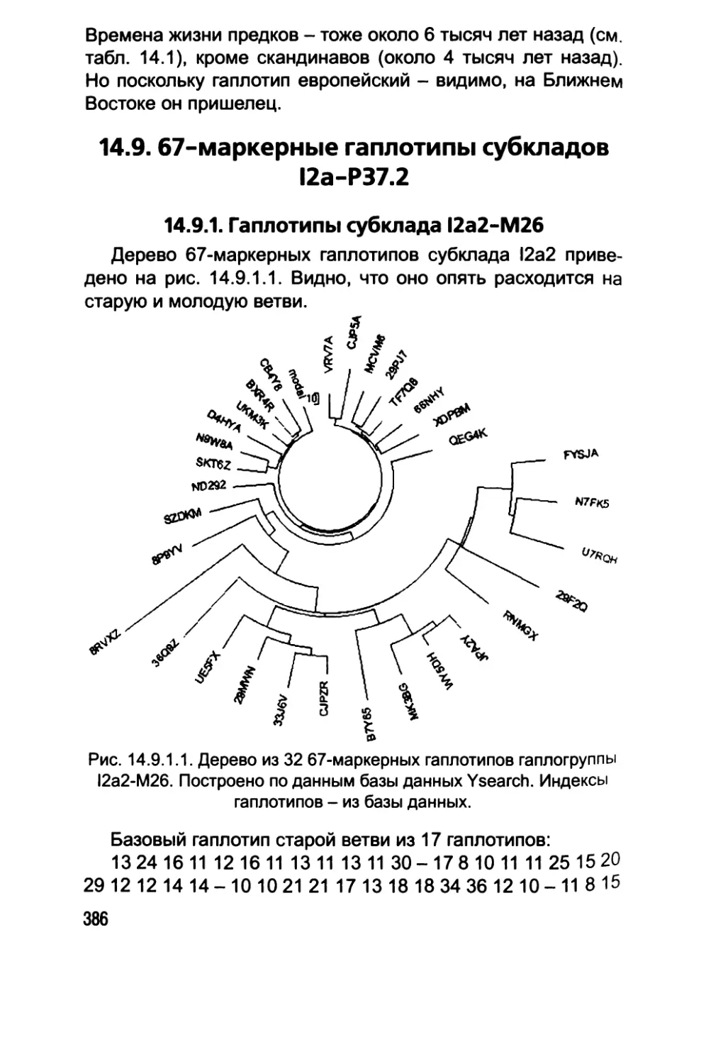 14.9. 67-маркерные гаплотипы субкладов I2a-P37.2