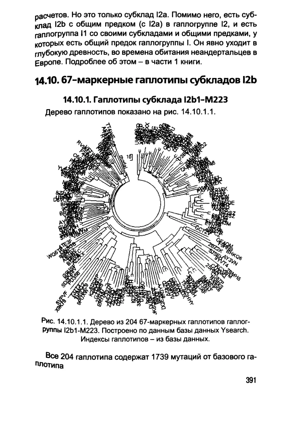 14.10. 67-маркерные гаплотипы субкладов I2b