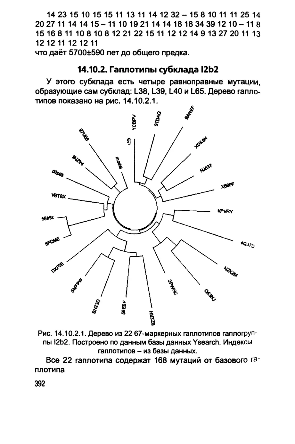 14.10.2. Гаплотипы субклада I2b2