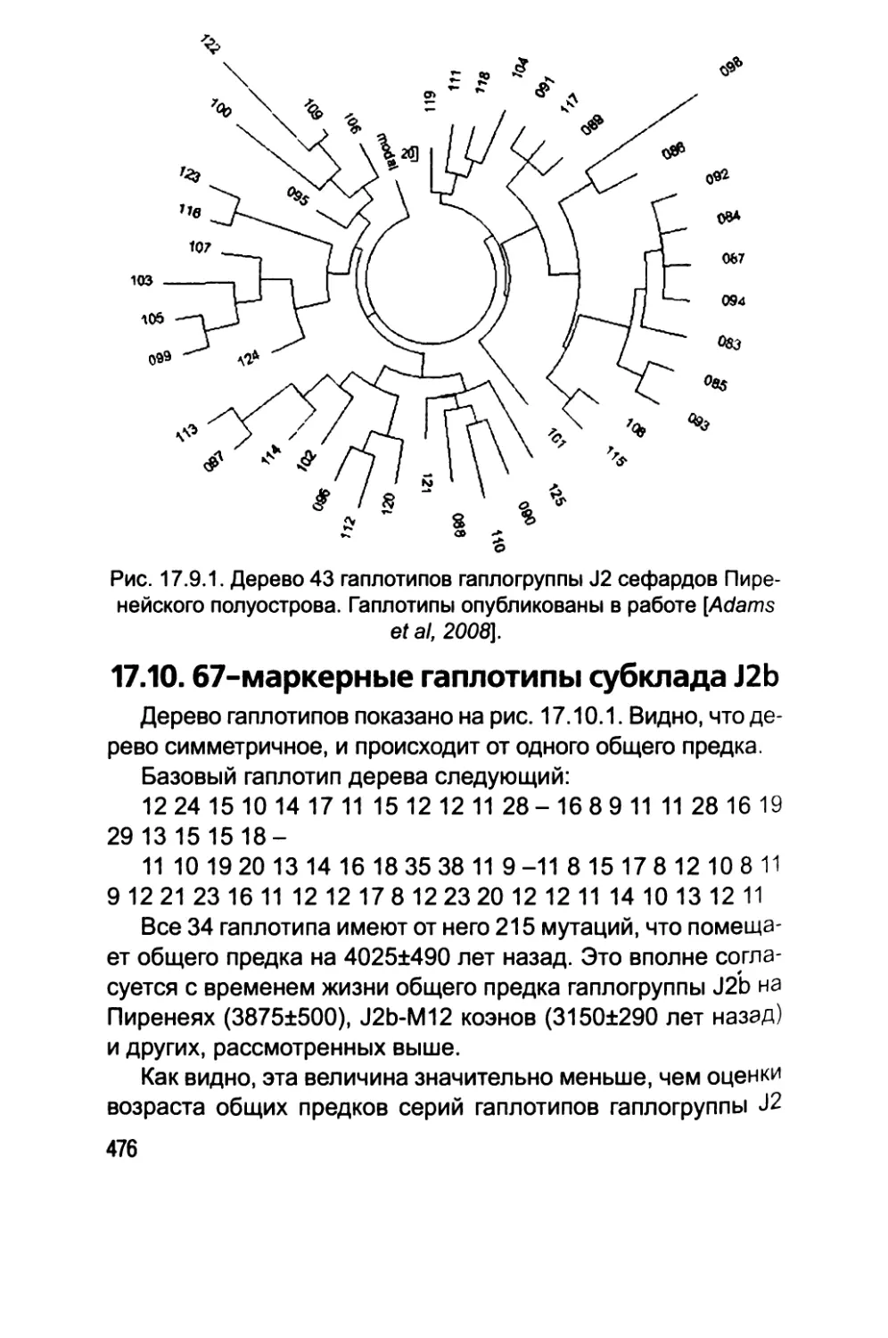 17.10. 67-маркерные гаплотипы субклада J2b