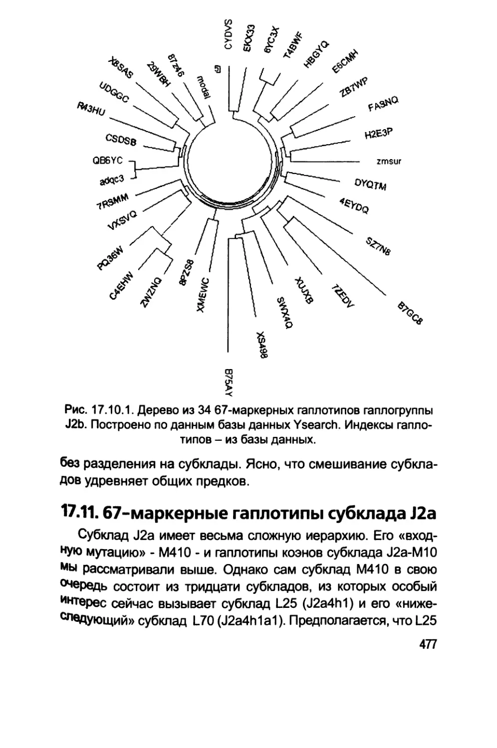 17.11. 67-маркерные гаплотипы субклада J2a