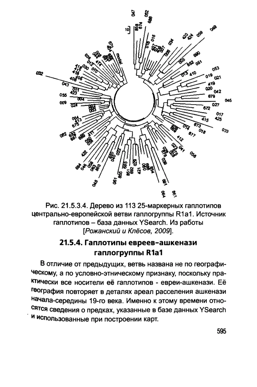 21.5.4. Гаплотипы евреев-ашкенази гаплогруппы R1a1