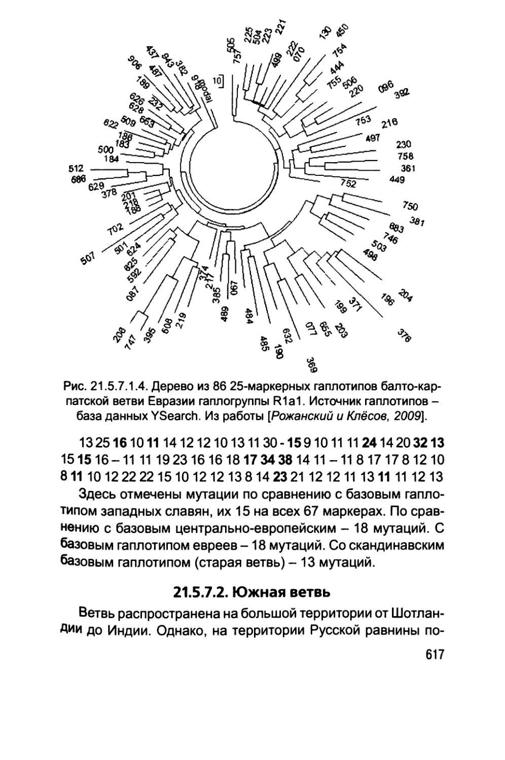 21.5.7.2. Южная ветвь