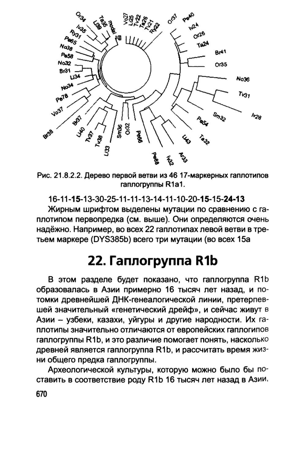 22. Гаплогруппа R1b