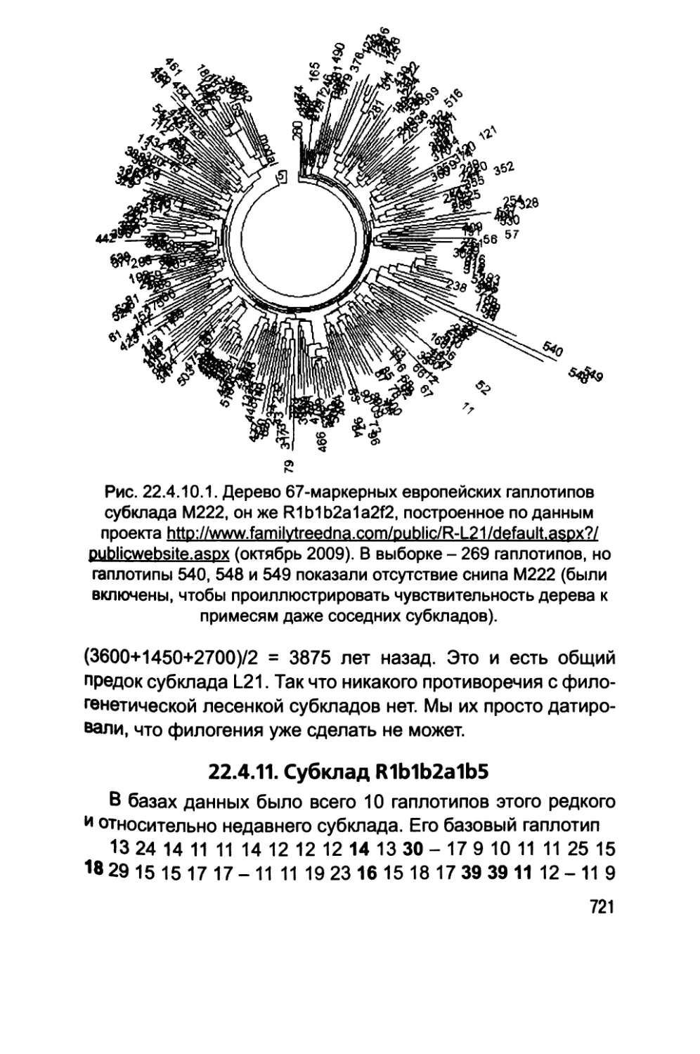 22.4.11. Субклад R1b1b2a1b5