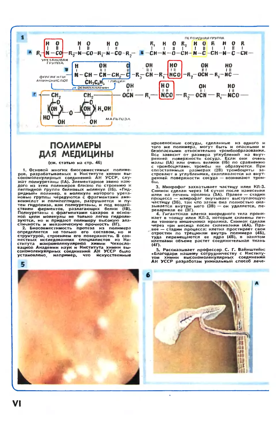 Рис. Э. Смолина — Полимеры для медицины.