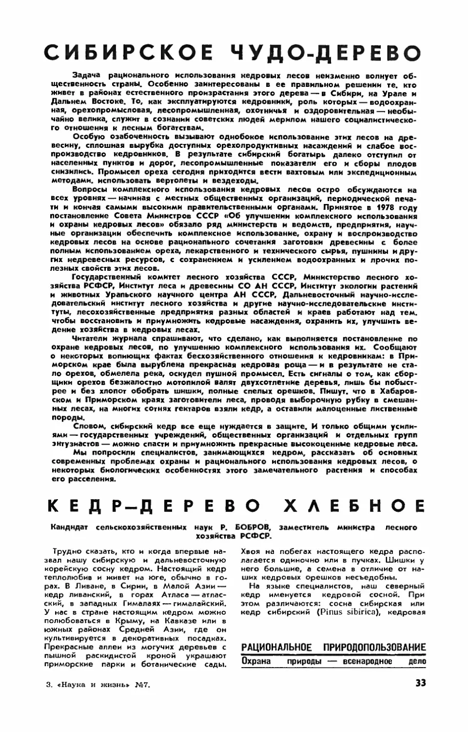 [Охрана природы — всенародное дело] — Сибирское чудо-дерево
Р. БОБРОВ, канд. с.-х. наук — Кедр — дерево хлебное