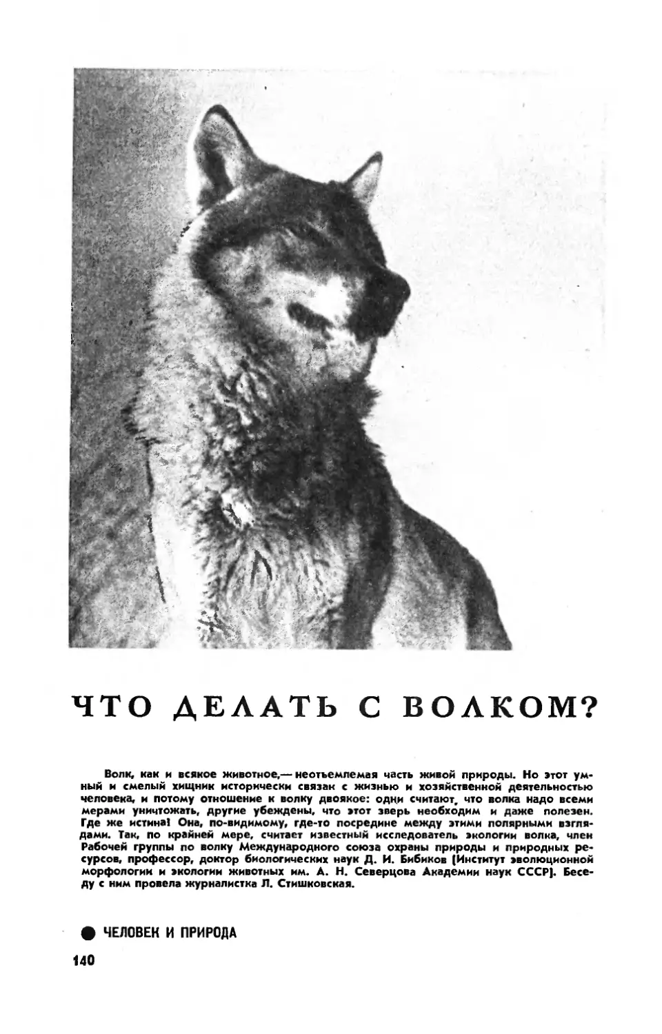 Д. БИБИКОВ, докт. биол. наук — Что делать с волком?