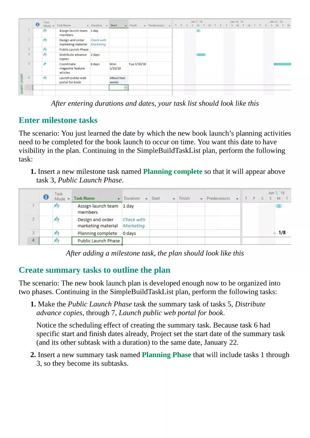 Enter milestone tasks
Create summary tasks to outline the plan