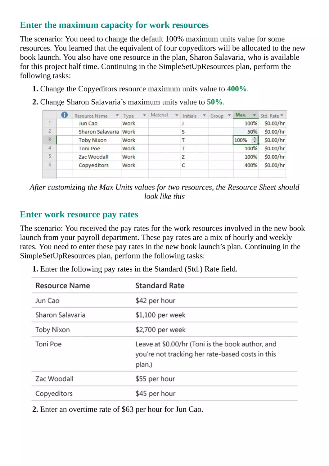 Enter the maximum capacity for work resources
Enter work resource pay rates