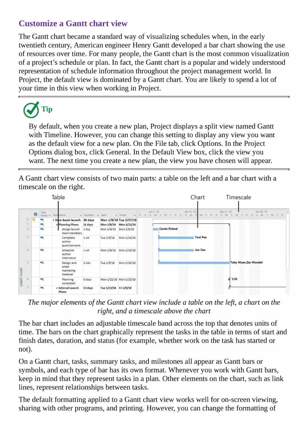 Customize a Gantt chart view