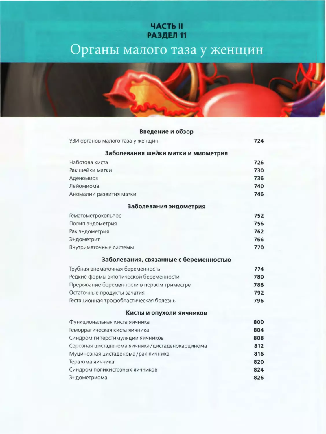 Органы малого таза у женщин
Введение и обзор