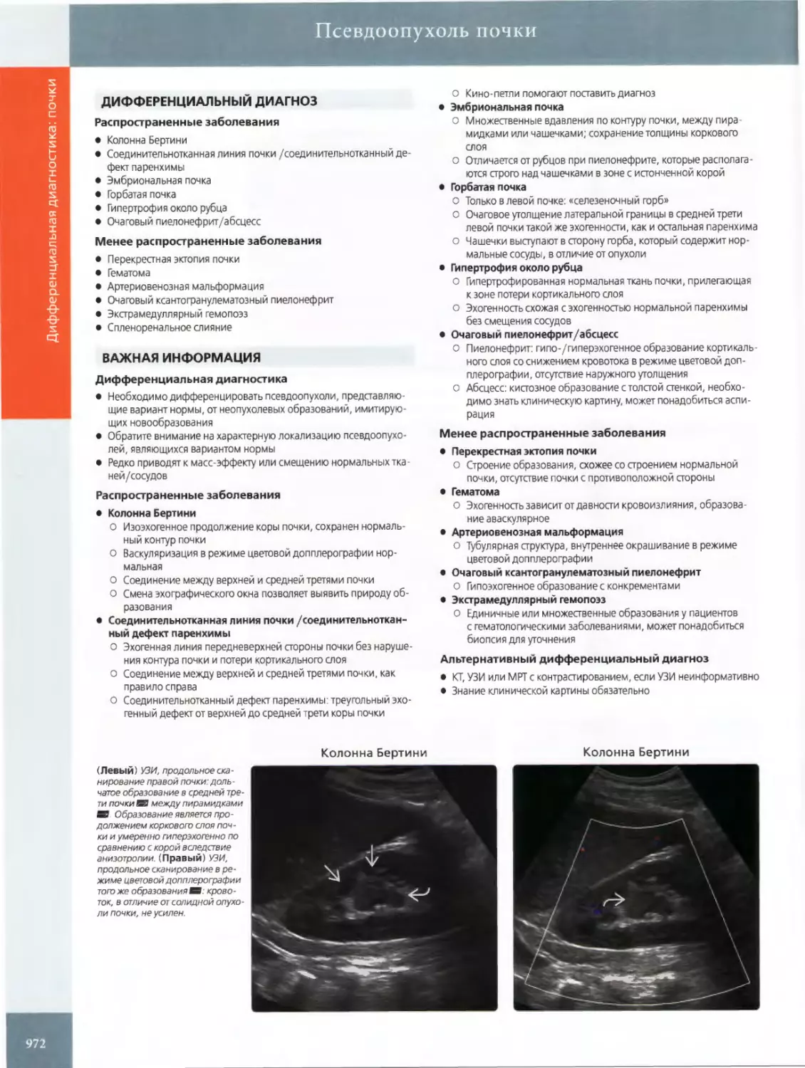 ДИФФЕРЕНЦИАЛЬНЫЙ ДИАГНОЗ
ВАЖНАЯ ИНФОРМАЦИЯ
•	Колонна Бертини
•	Соединительнотканная линия почки /соединительнотканный дефект паренхимы
•	Эмбриональная почка
•	Горбатая почка
•	Гипертрофия около рубца
•	Очаговый пиелонефрит/абсцесс
•	Перекрестная эктопия почки
•	Гематома
•	Артериовенозная мальформация
•	Экстрамедуллярный гемопоэз