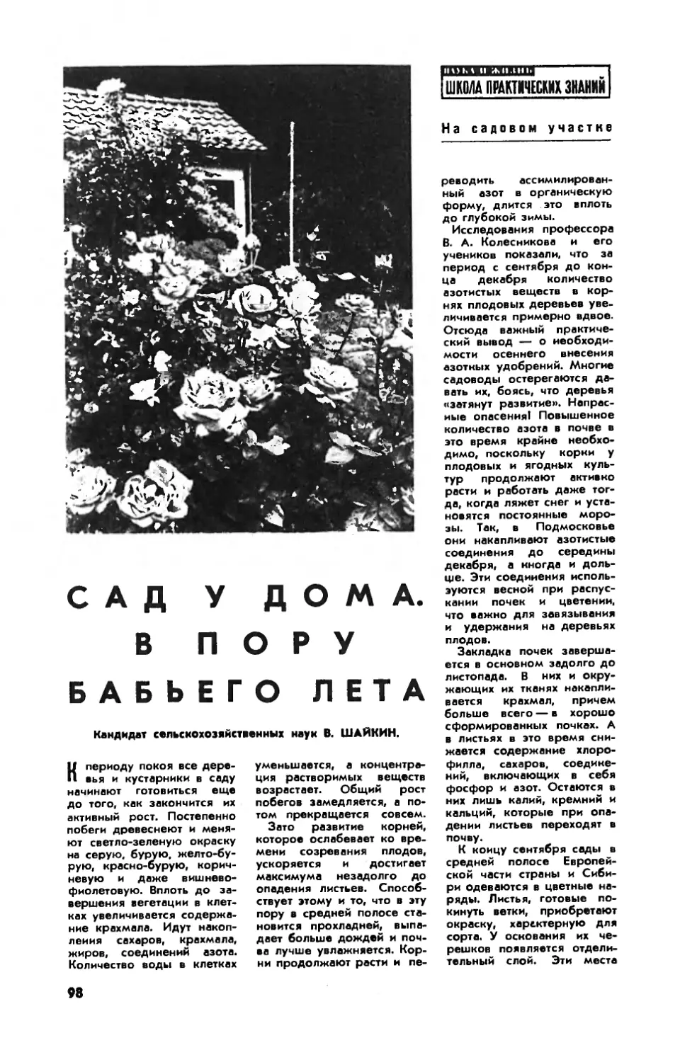 В. ШАЙКИН, канд. сельхоз. наук — Сад у дома. В пору бабьего лета