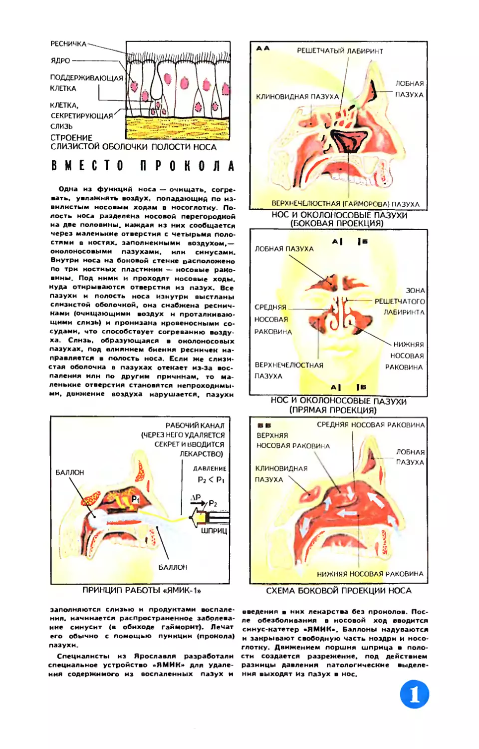 [Вкладки]