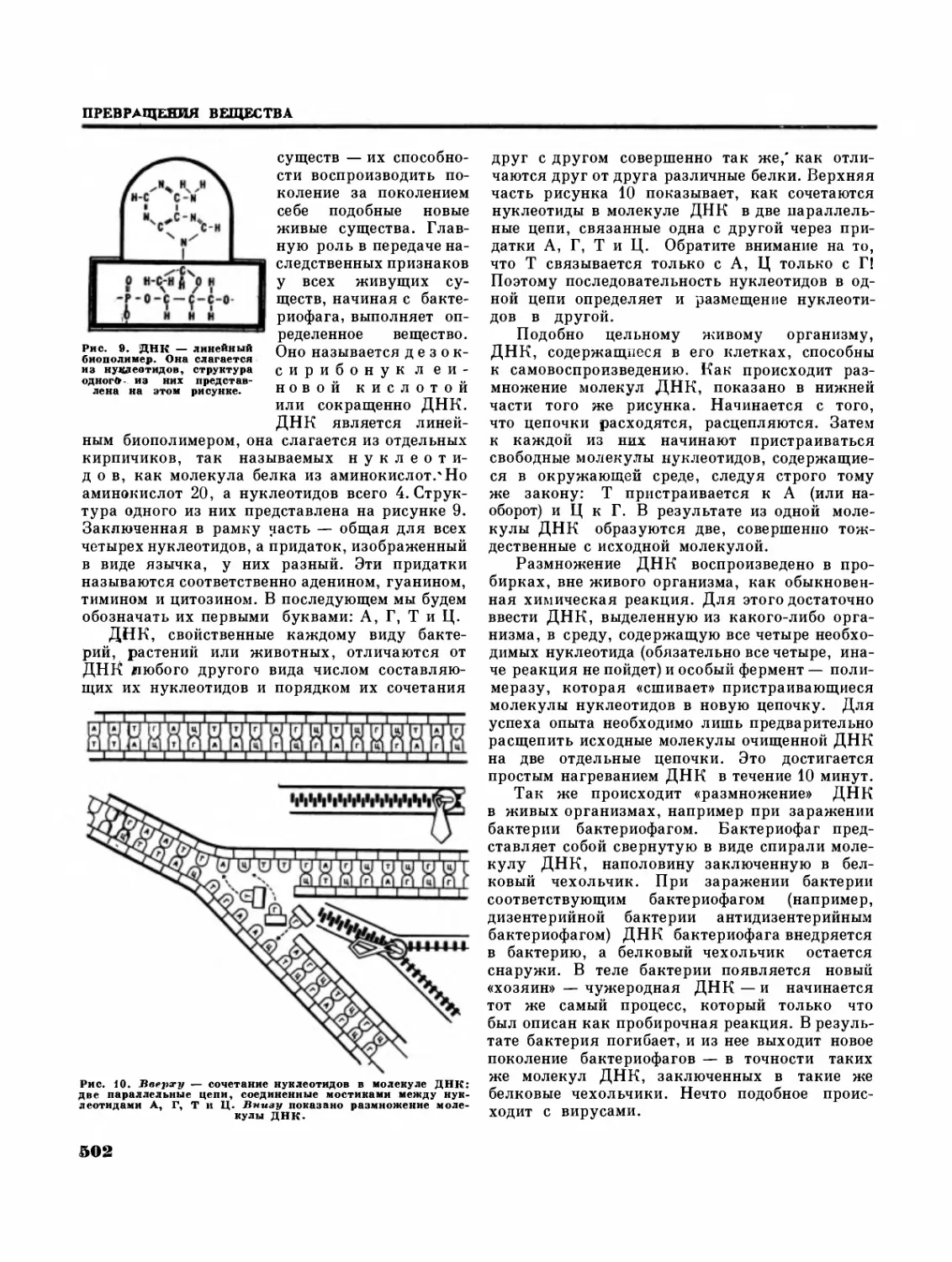 Химия и наследственность