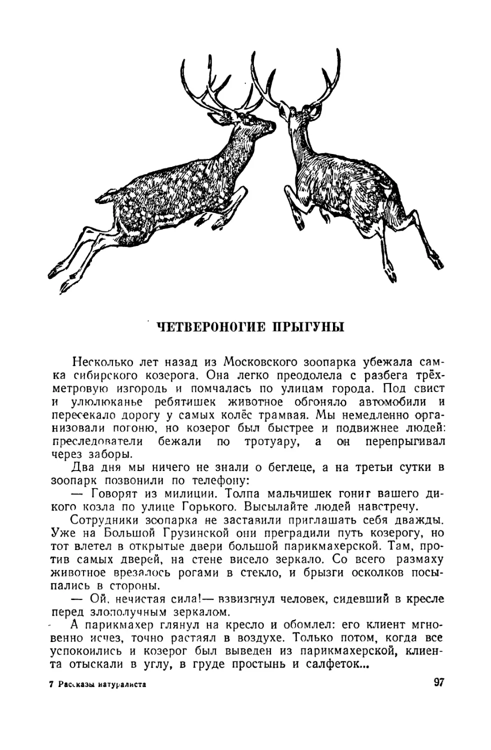 Четвероногие прыгуны