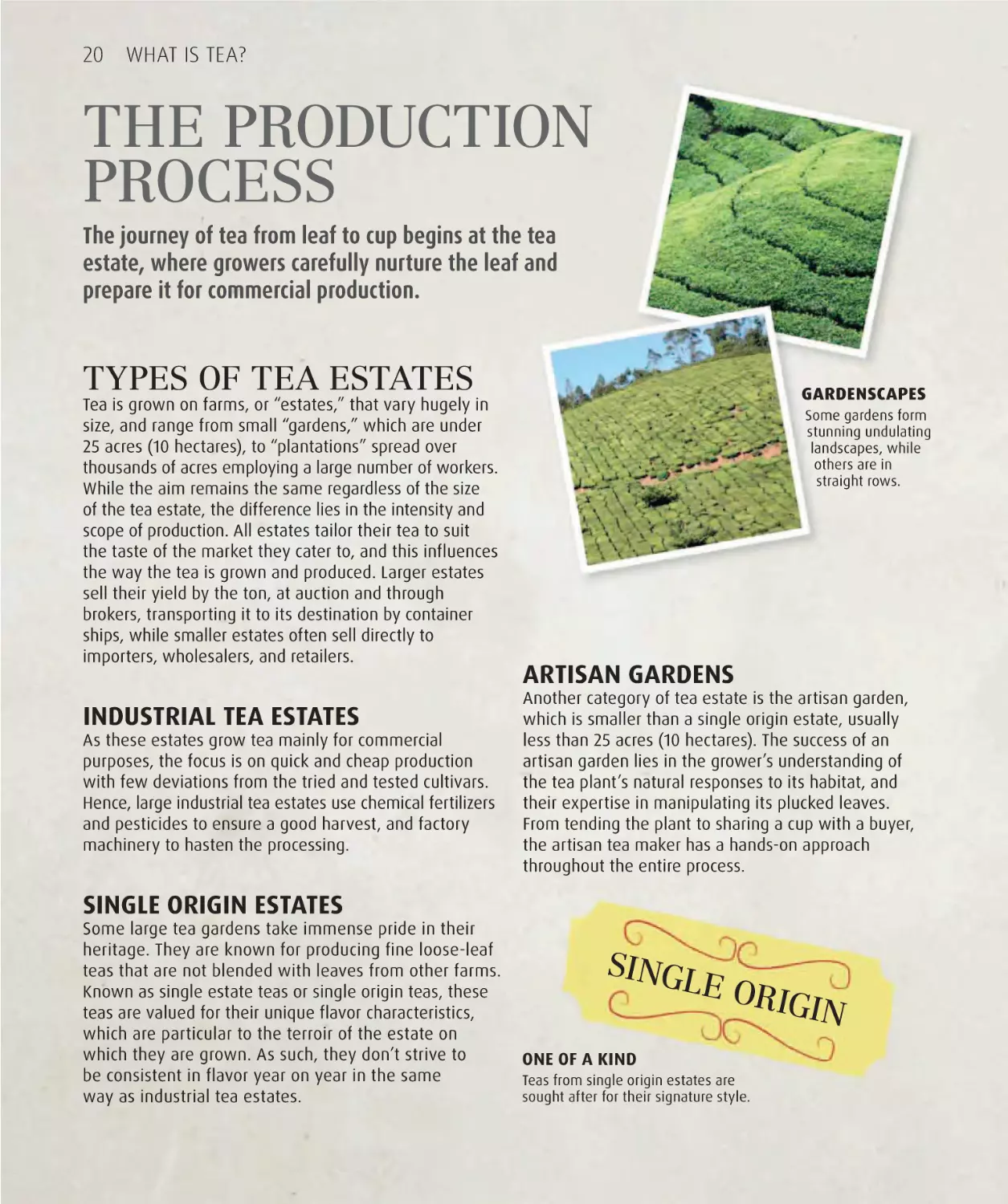 The production process 20